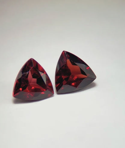 Garnet - Fine step Cut | 1.77 Carat